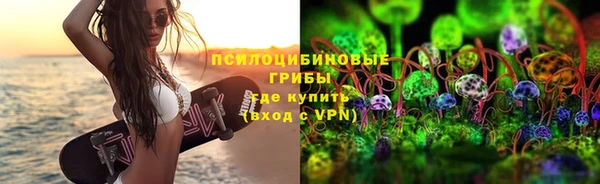 PSILOCYBIN Горняк