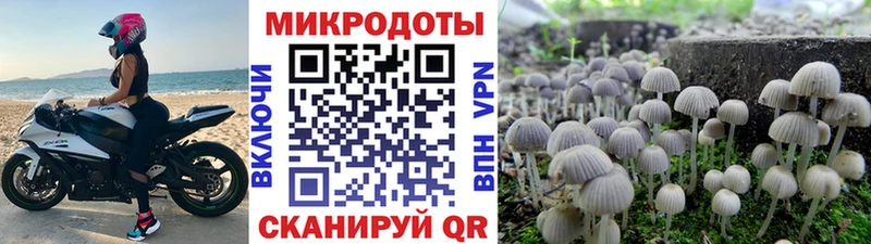 Псилоцибиновые грибы ЛСД  Зубцов 